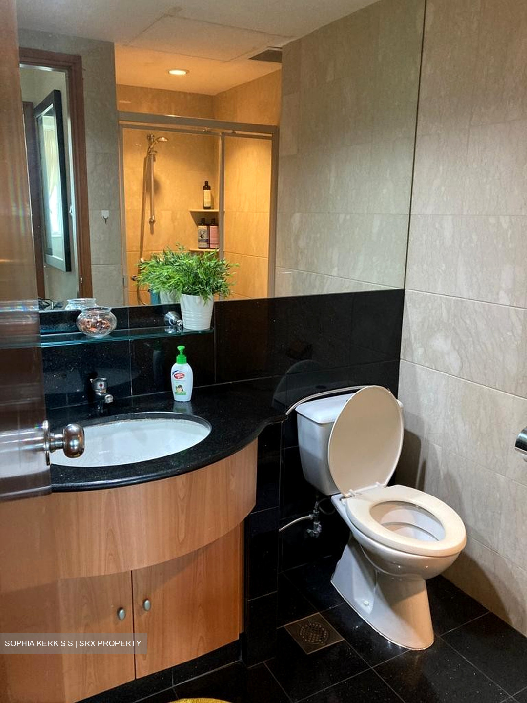 Costa Del Sol (D16), Condominium #539146721